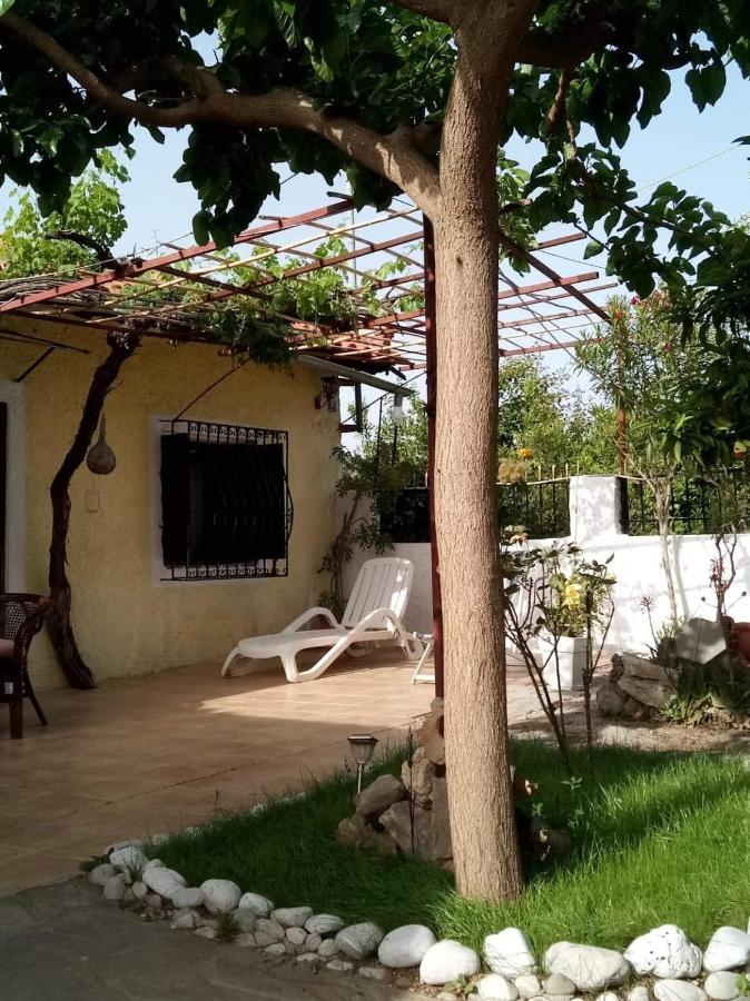 Panos And Chrisas House Villa Drepano  Exterior photo