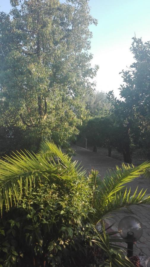 Panos And Chrisas House Villa Drepano  Exterior photo
